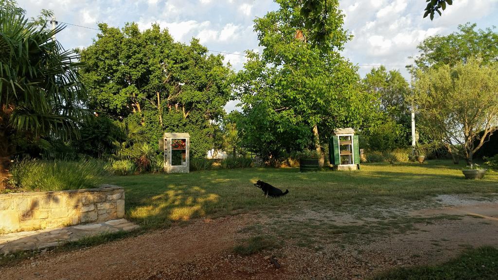 Apartments Davor Umag Rum bild